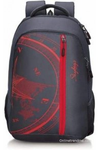 Skybags Flash 04 2.5 L Backpack(Grey, Size - 180)